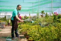 Projektowanie Krajobrazu